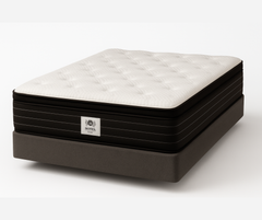 Hilton Hotel Spectra Mattress
