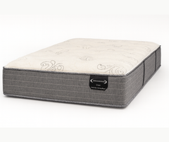 Vion Plush Mattress