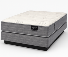 Vion Plush Mattress